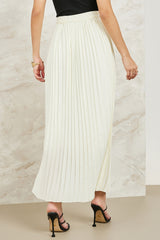Pleated Skirt